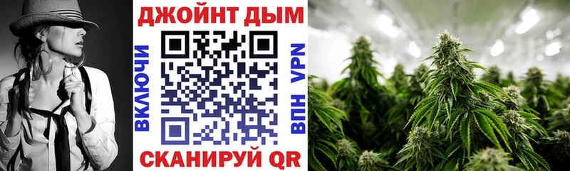 Бошки марихуана OG Kush  хочу наркоту  Дмитриев 